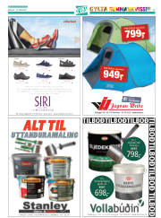 Síða 41