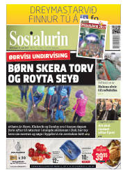 Síða 1