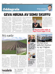 Síða 2