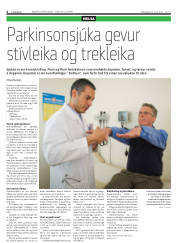 Síða 4