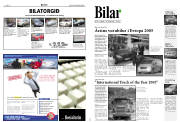 Síða 8