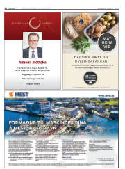 Síða 12