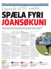 Síða 14