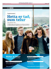 Síða 41