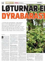 Síða 16