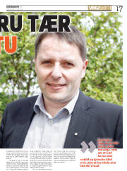 Síða 17