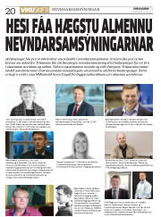 Síða 20