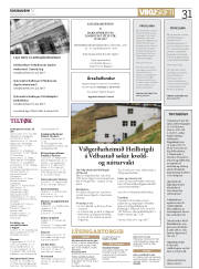 Síða 31
