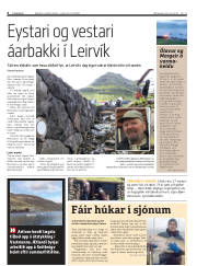 Síða 6