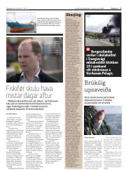 Síða 7
