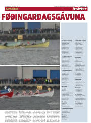 Síða 15