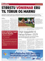 Síða 22