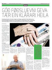 Síða 12