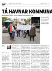 Síða 14