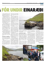 Síða 15