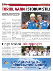 Síða 20