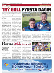 Síða 22