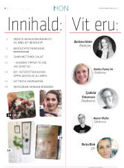 Síða 34