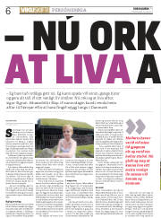 Síða 6