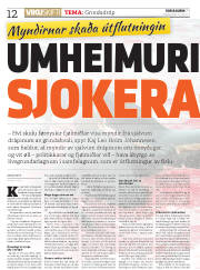 Síða 12