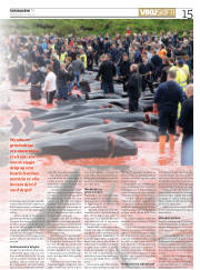 Síða 15