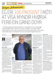 Síða 16