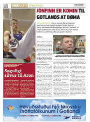 Síða 18