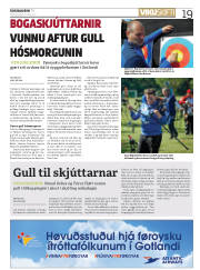Síða 19
