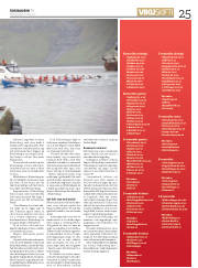 Síða 25
