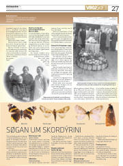 Síða 27