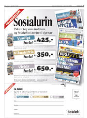 Síða 3