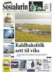 Síða 1