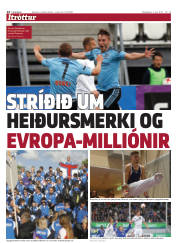 Síða 14