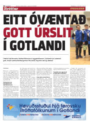 Síða 20