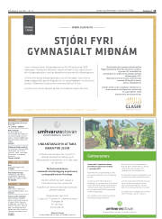 Síða 15