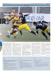 Síða 17