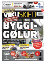 Síða 1