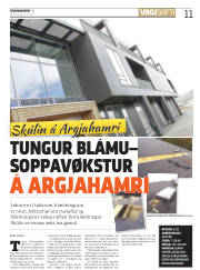 Síða 11