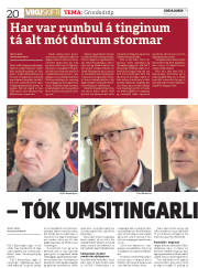 Síða 20