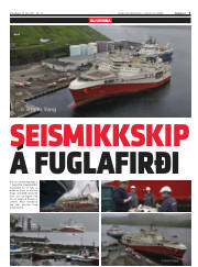 Síða 3