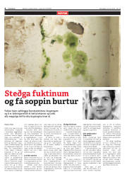 Síða 4