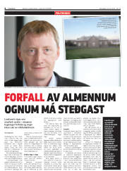 Síða 8