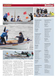 Síða 17