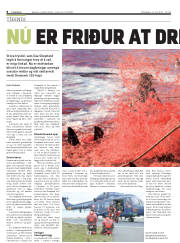 Síða 8