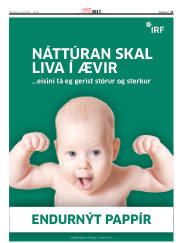 Síða 13