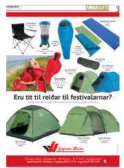Síða 3