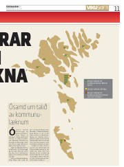 Síða 11