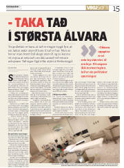 Síða 15