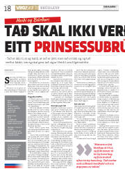 Síða 18