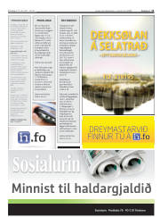 Síða 11